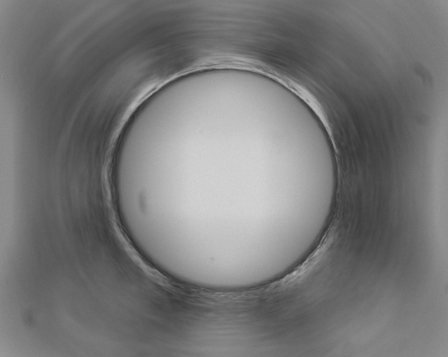 X0000112980997200908270914
