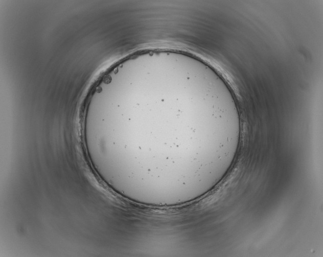 X0000112980998200908270914