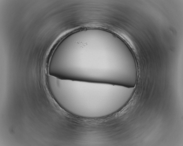 X0000112981000200908270914