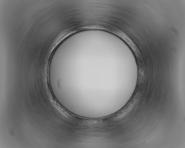 X0000112981002200908270914