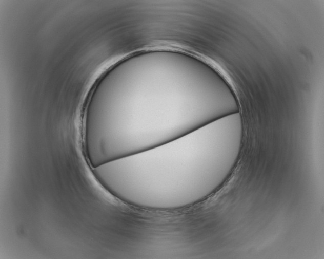 X0000112981003200908270914