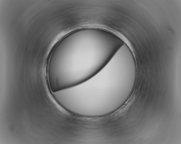 X0000112981005200908270914