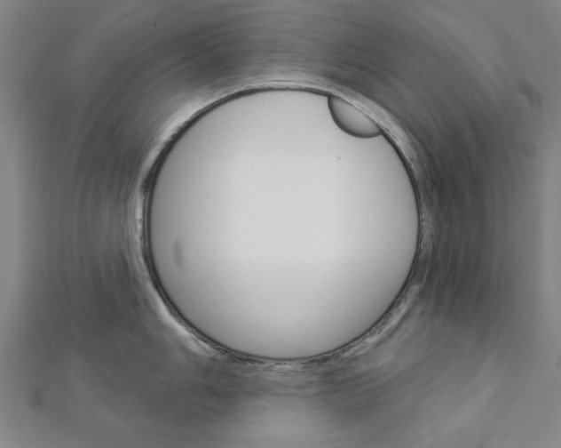 X0000112981006200908270914
