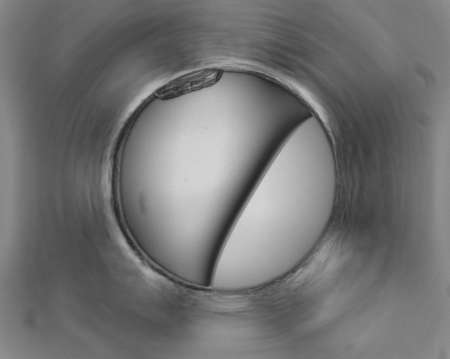 X0000112981007200908270914