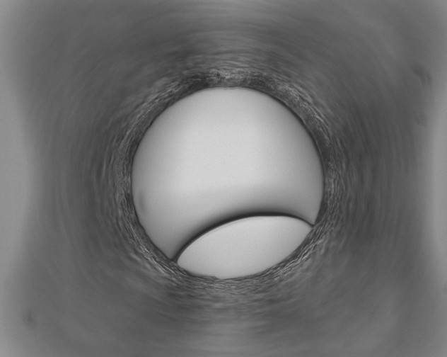 X0000112981009200908270913