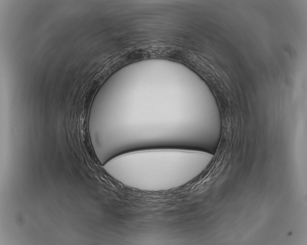 X0000112981010200908270914