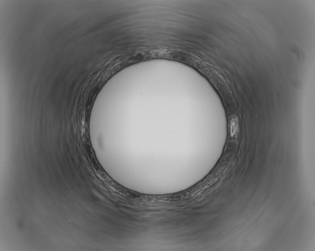 X0000112981011200908270914