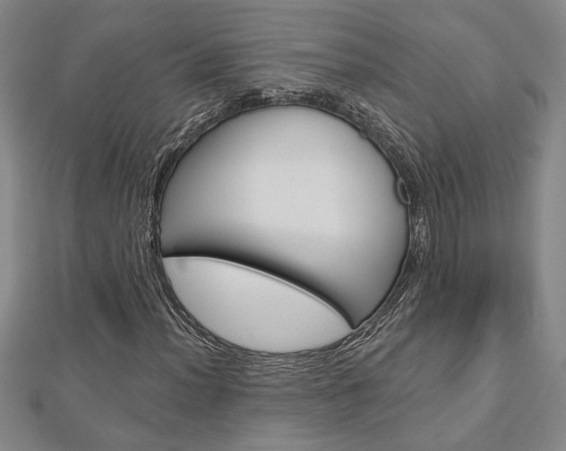 X0000112981012200908270914