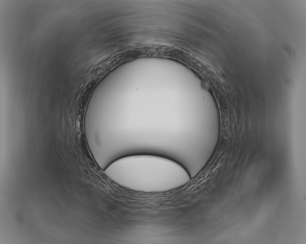 X0000112981013200908270914