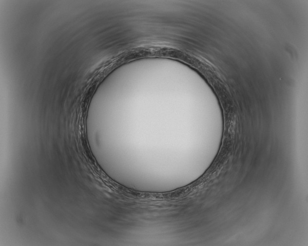X0000112981014200908270914