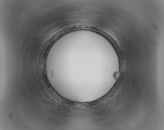 X0000112981015200908270914