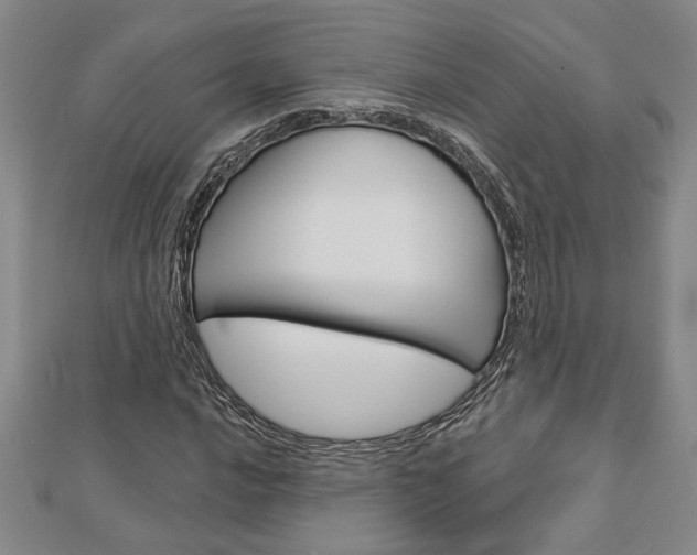 X0000112981016200908270914