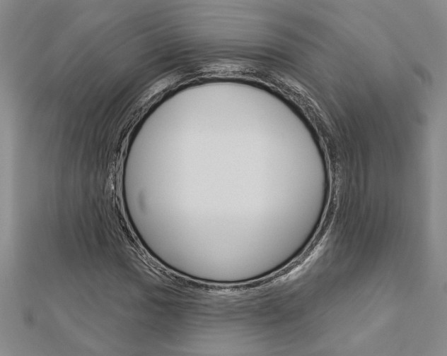 X0000112981017200908270914