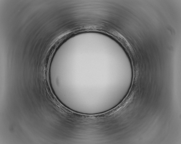 X0000112981019200908270914