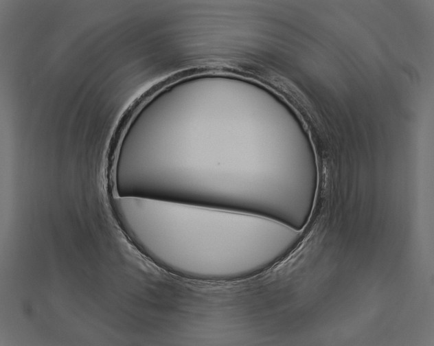X0000112981020200908270914