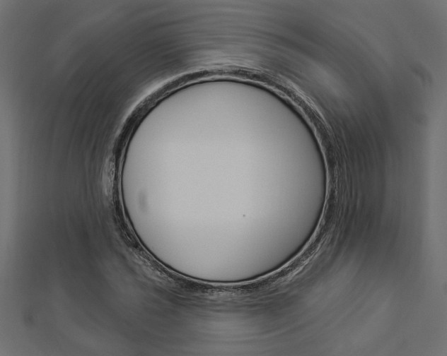 X0000112981021200908270914