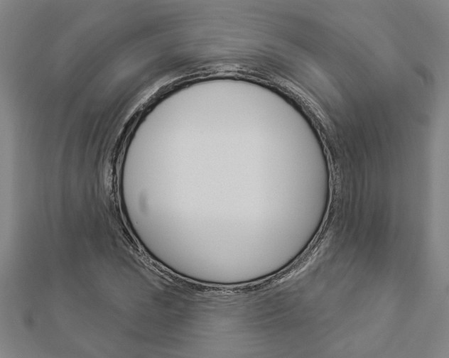 X0000112981023200908270914