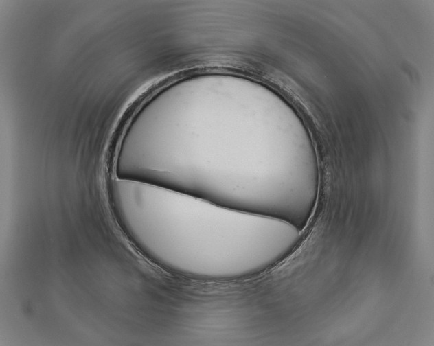 X0000112981024200908270914