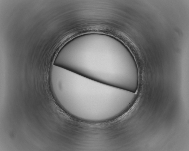X0000112981025200908270914