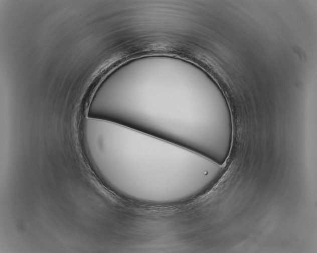 X0000112981026200908270914