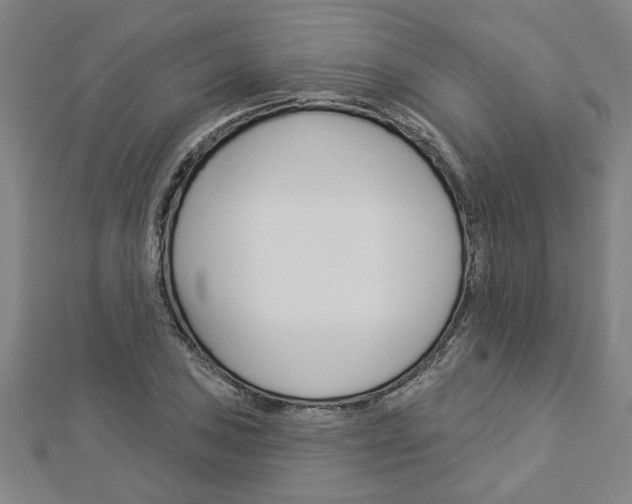X0000112981027200908270914