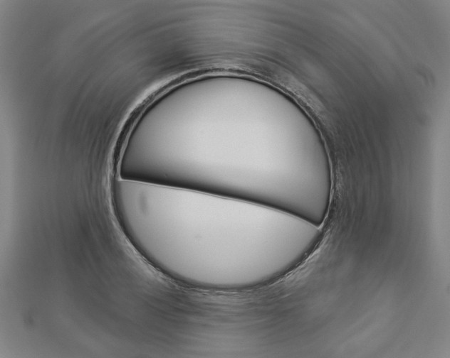 X0000112981028200908270914