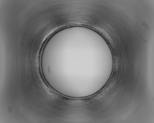 X0000112981031200908270914