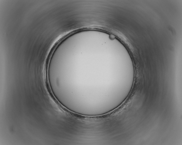 X0000112981032200908270914