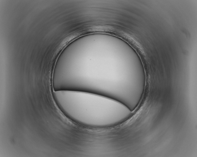 X0000112981033200908270914