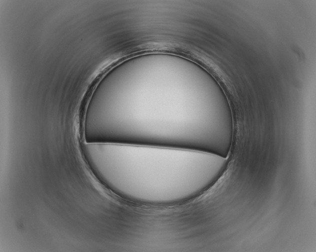X0000112981034200908270914