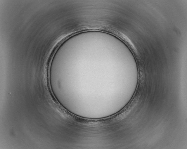 X0000112981035200908270914