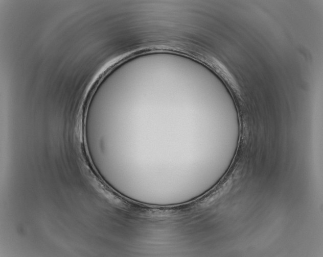 X0000112981036200908270914