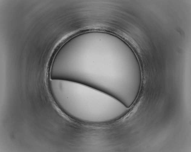 X0000112981037200908270914