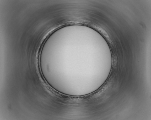 X0000112981039200908270914