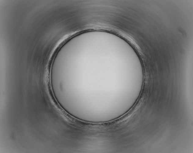 X0000112981040200908270914