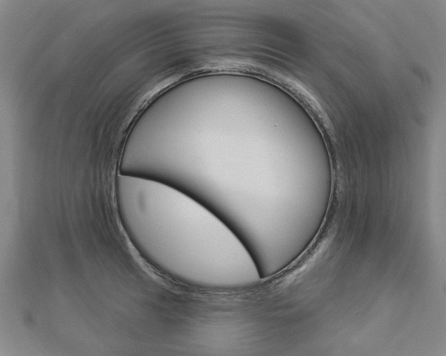 X0000112981041200908270914