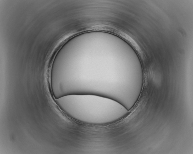 X0000112981043200908270914