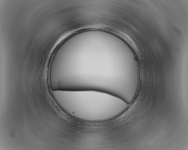 X0000112981044200908270914