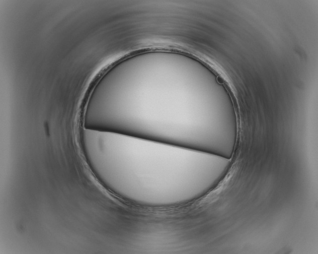 X0000112981045200908270914