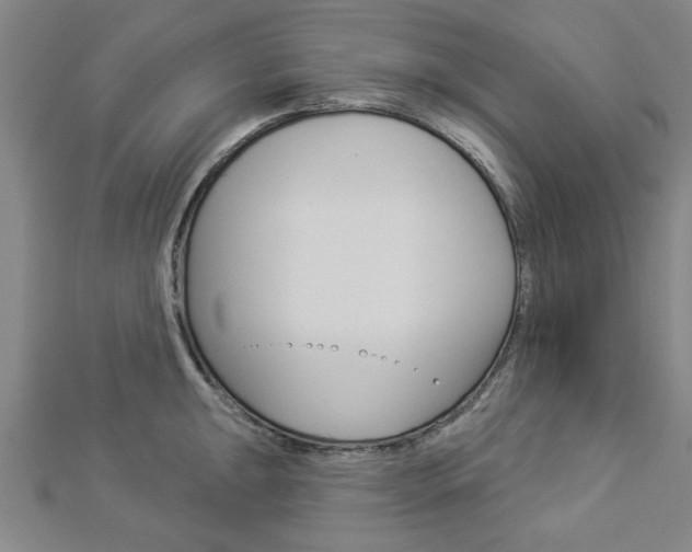 X0000112981047200908270914