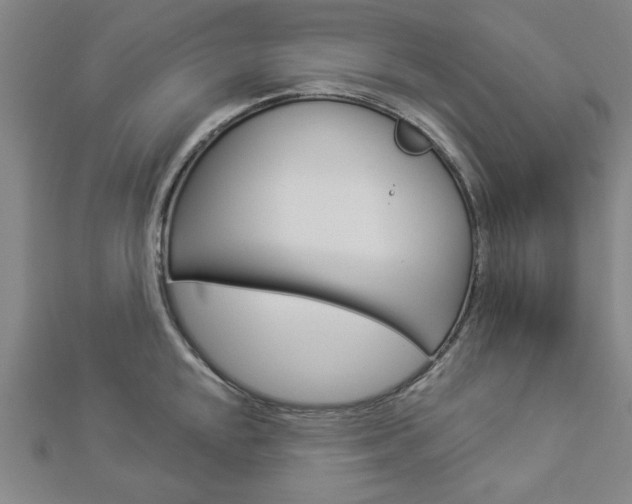 X0000112981048200908270914