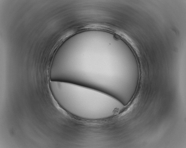 X0000112981049200908270914