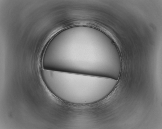 X0000112981050200908270914