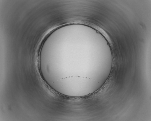 X0000112981051200908270914