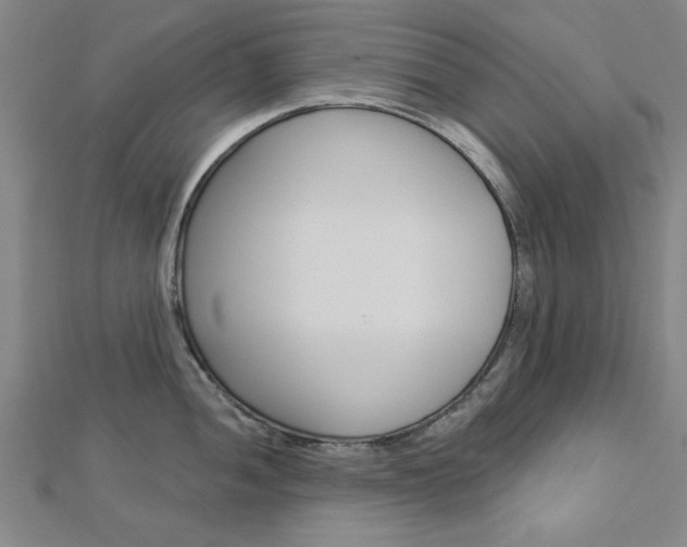 X0000112981052200908270914