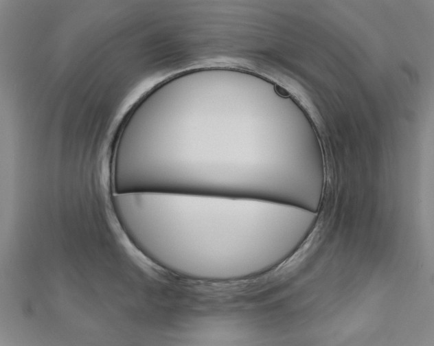 X0000112981054200908270914