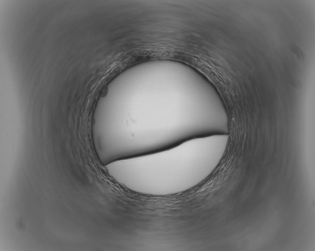 X0000112981057200908270913