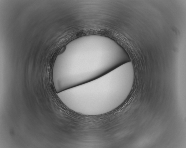 X0000112981059200908270913