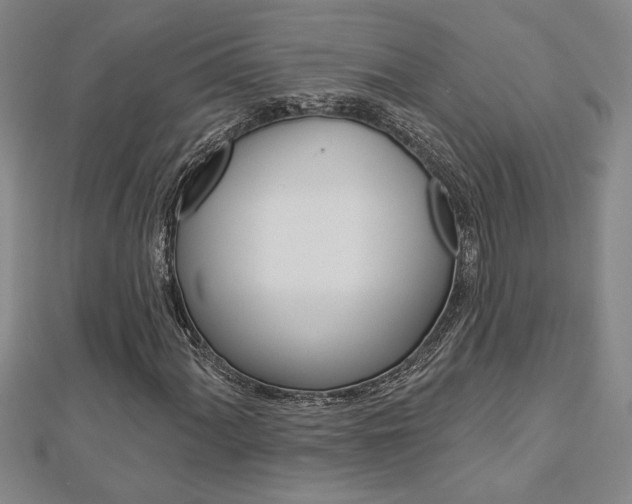 X0000112981060200908270913