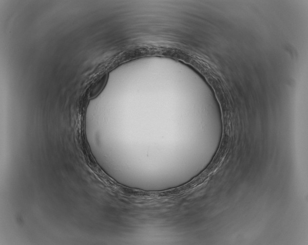 X0000112981061200908270913